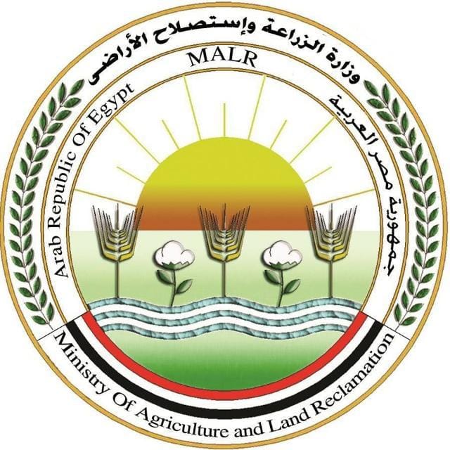 الزراعة تنتهي من فحص تقاوي بطاطس العروة الشتوية