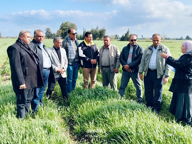 الزراعة تتفقد حالة المحاصيل الشتوية في محافظة الغربية