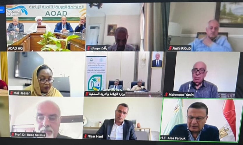 فاروق: يجب توحيد الجهود العربية لمواجهة تحديات الأمن الغذائي 