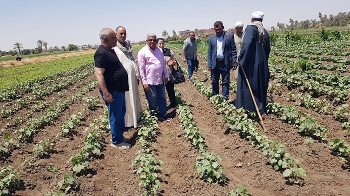 الزراعة تُنفذ 2000 نشاط إرشادي لدعم 51 ألف مزارع 