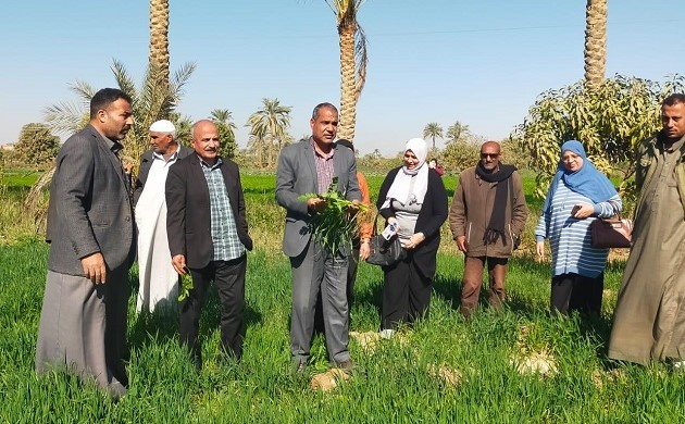 الزراعة تنفذ حملة قومية لمكافحة الحشائش في المحاصيل الشتوية