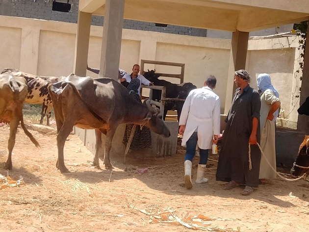 بحوث الصحة الحيوانية ينفذ قوافل إرشادية في ٩ محافظات