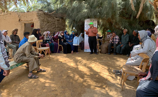 بحوث الصحراء يطلق سلسلة أيام حقلية لدعم مزارعي الوادي الجديد