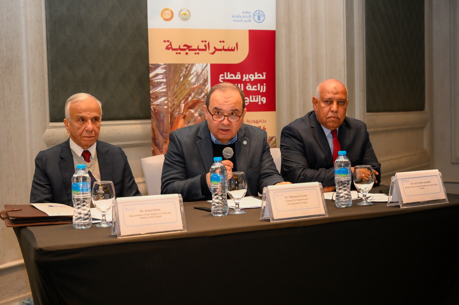 الفاو تطلق استراتيجية تطوير قطاع زراعة النخيل وإنتاج التمور بمصر 2024- 2029