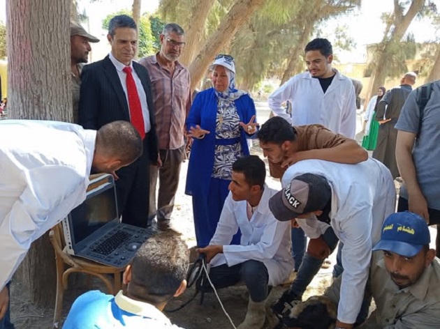 الزراعة تعلن إجراء تلقيح اصطناعي لـ 42 ألف رأس ماشية 