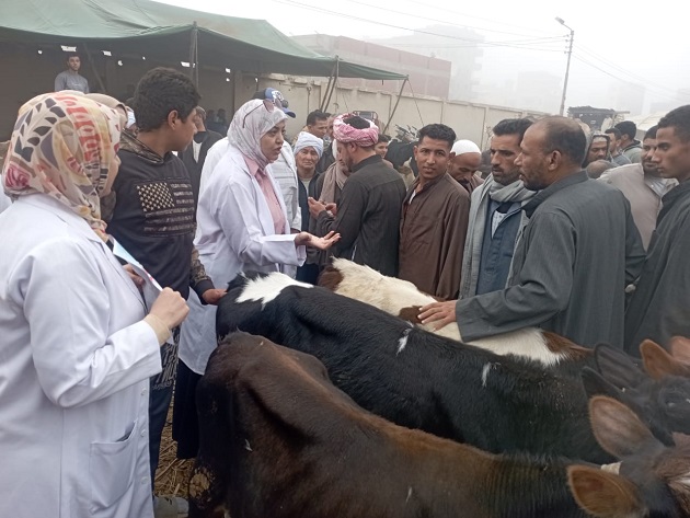 الزراعة تعلن تحصين 6.5 مليون جرعة ضد القلاعية والوادي المتصدع