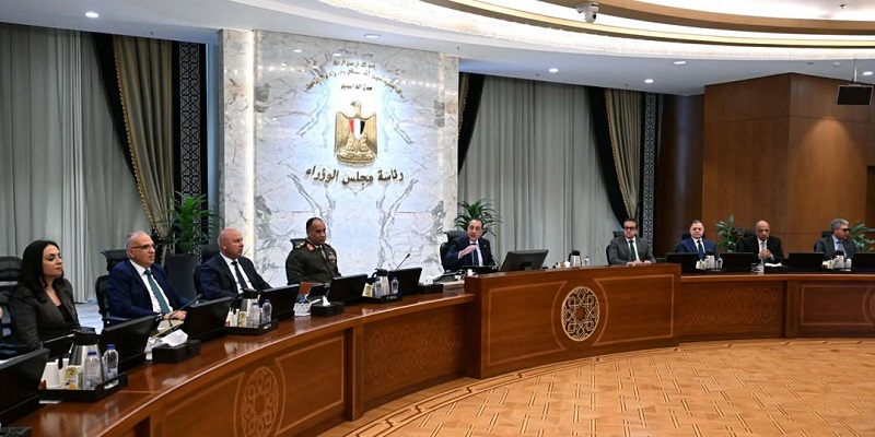 مجلس الوزراء يوافق على تأسيس شركة أركو سيدز لإنتاج التقاوي 