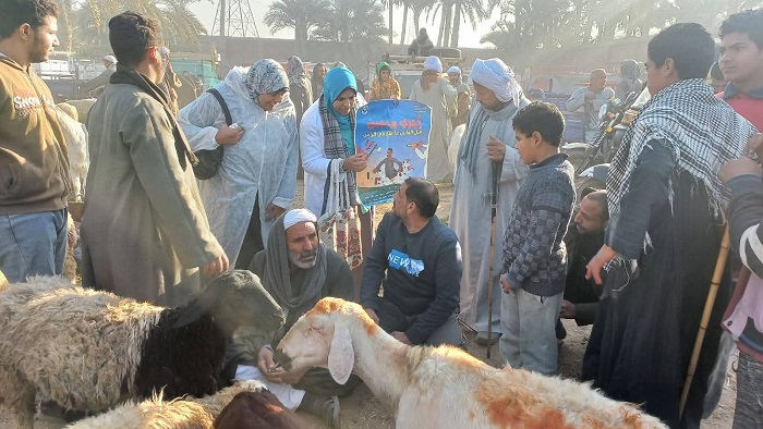 الزراعة تنفذ 83 ألف ندوة لحماية الثروة الحيوانية خلال 2025