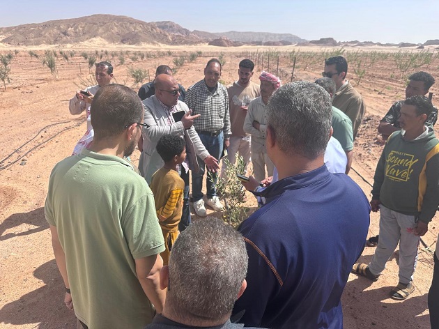 وزير الزراعة يوجه بحزمة دعم عاجلة لمتضرري السيول بسيناء 