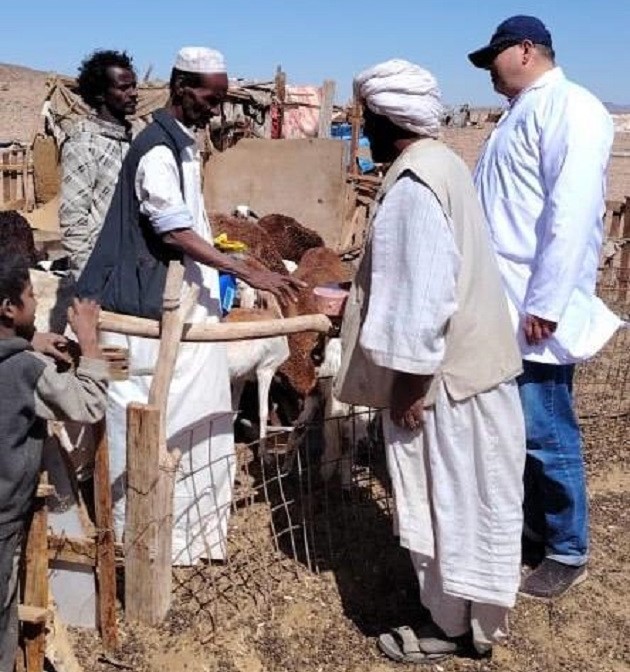 بحوث الصحراء ينظم قافلة بيطرية بمدينة الشلاتين 