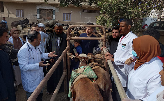 معهد الصحة الحيوانية ينظم قافلة بيطرية مجانية بالفيوم