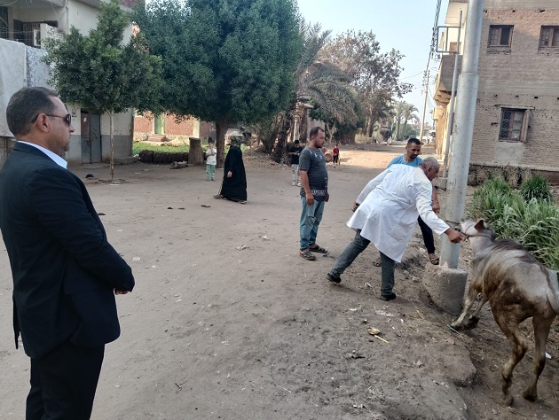 الخدمات البيطرية تدعو المربين للتعاون مع فرق التحصين بجميع المحافظات