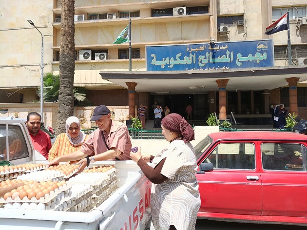 الإصلاح الزراعي يطلق منافذ متنقلة لطرح البيض البلدي والأسماك