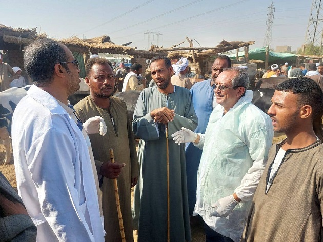 الزراعة تنفذ 2800 ندوة توعوية عن الأمراض الحيوانية